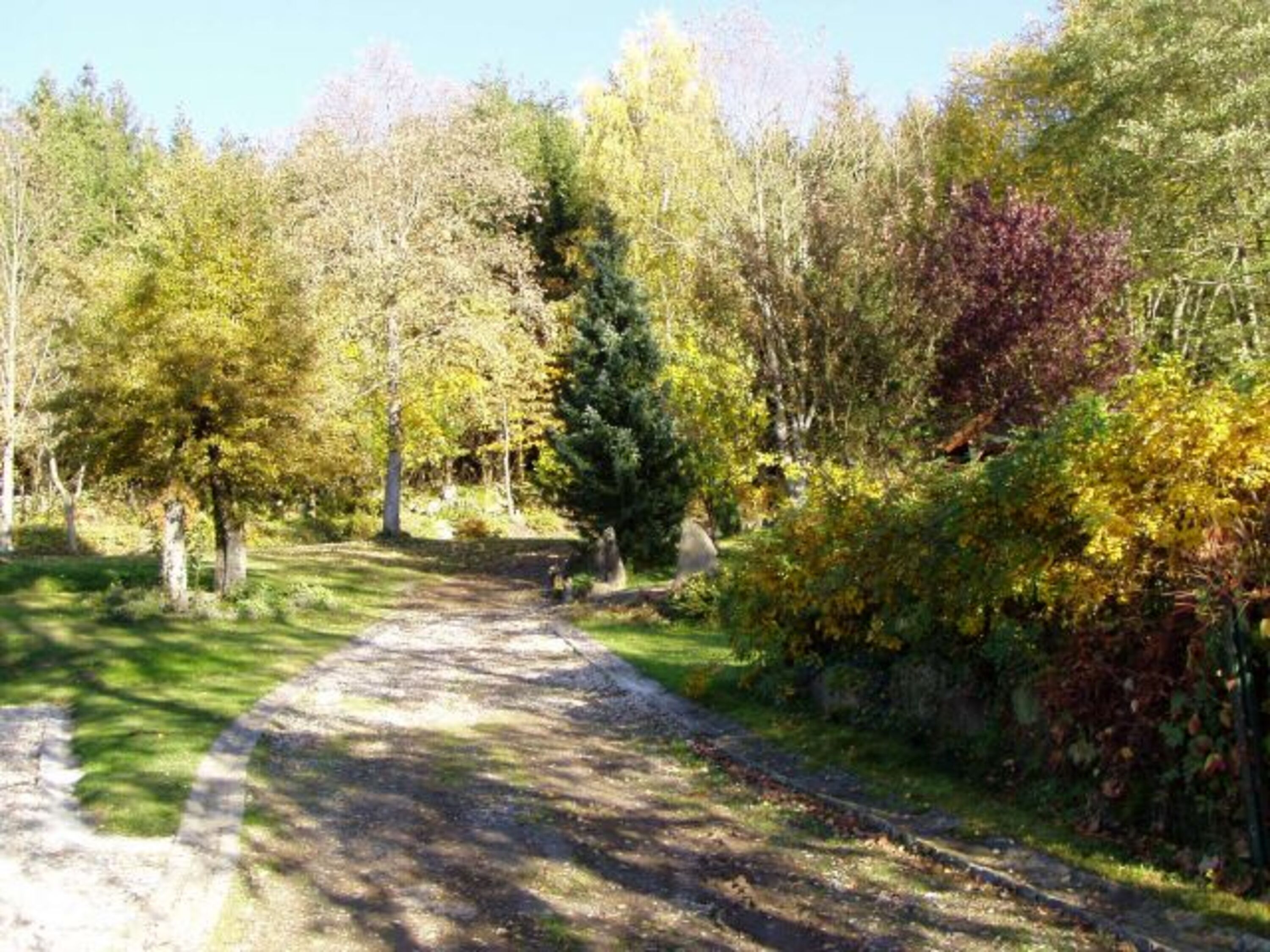 Garten