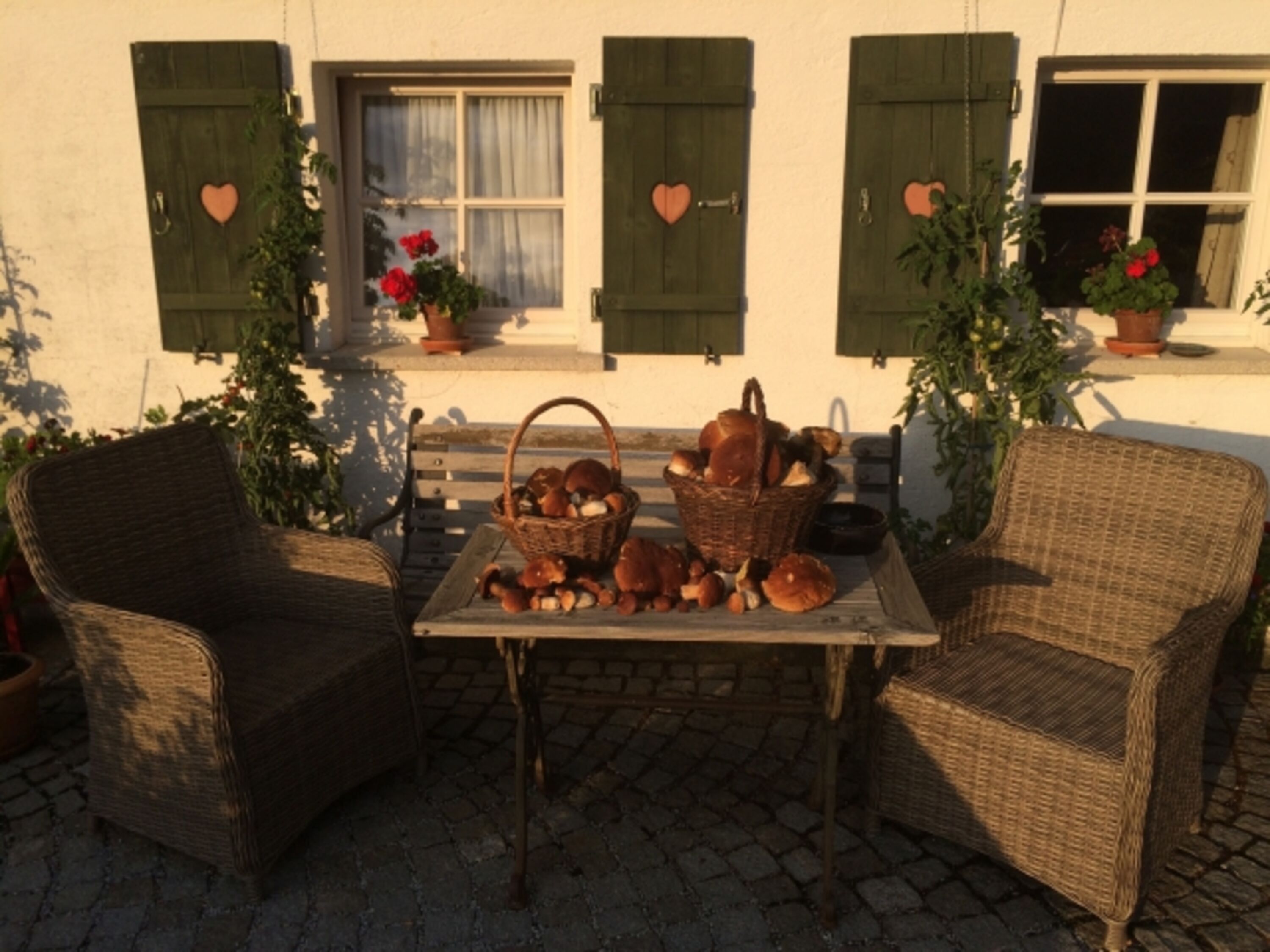 Bild 11