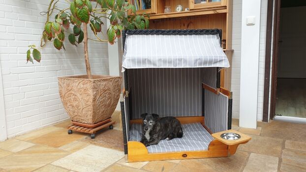 Hundestrandkorb im Wintergarten