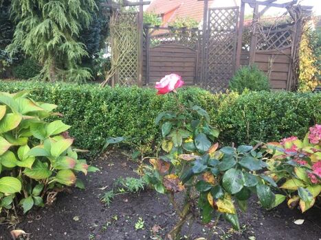 Sitzbereich im Garten