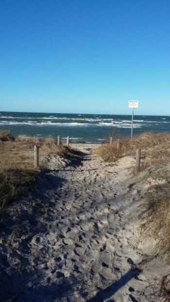 Zugang Strand Schwarzer Busch