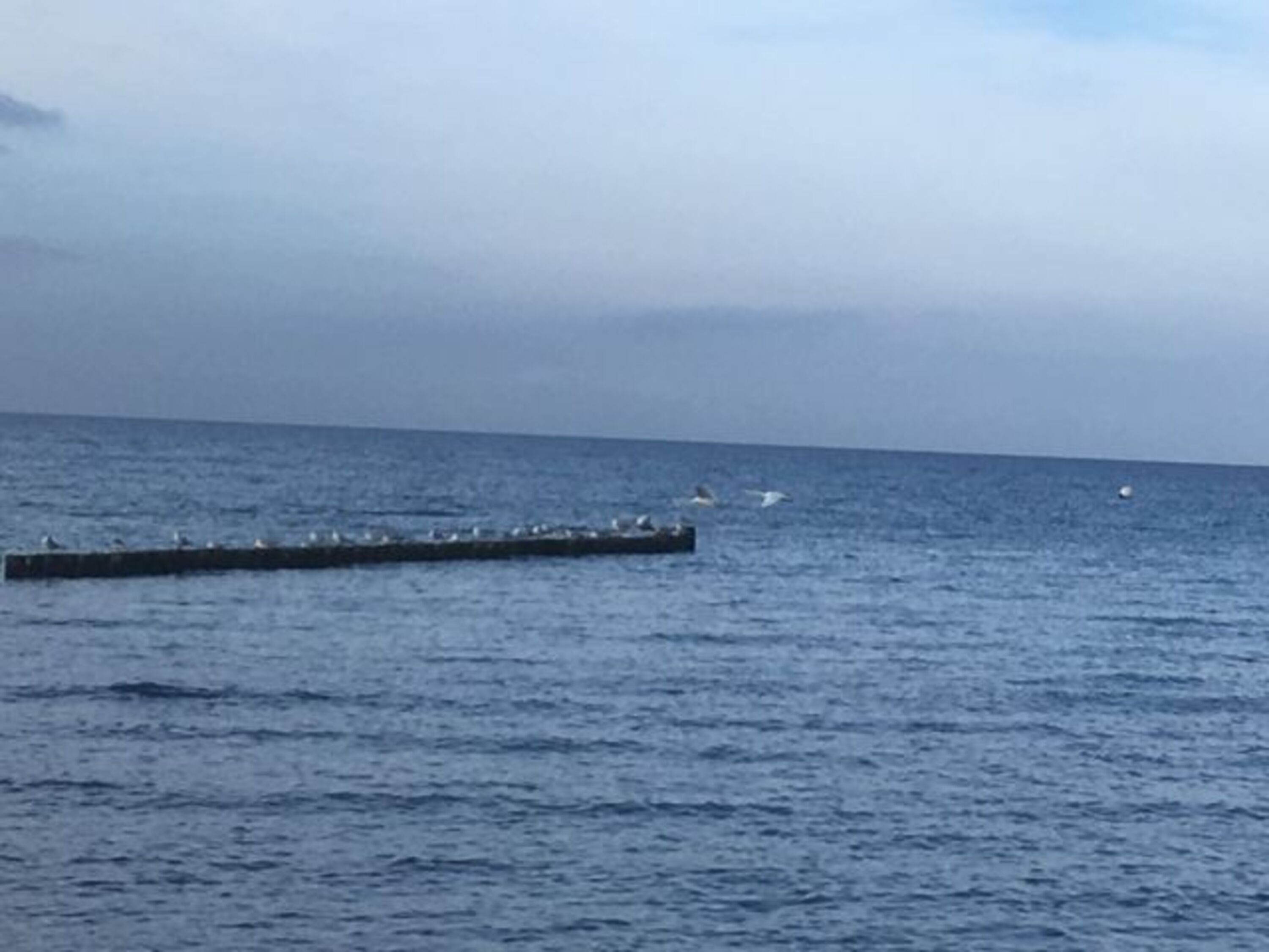 Buhnen am Strand