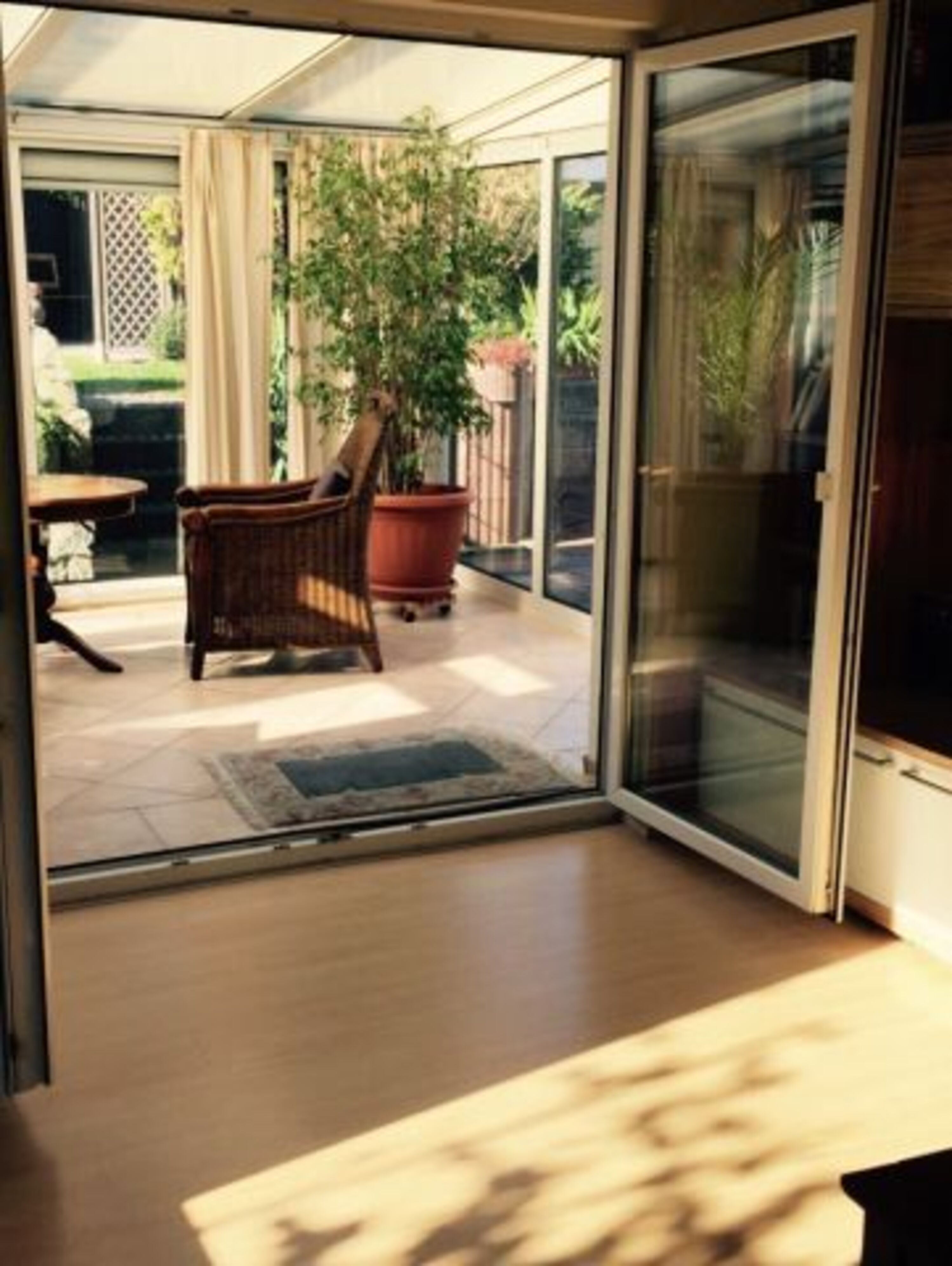 Blick zum Winergarten vom Wohnzimmer