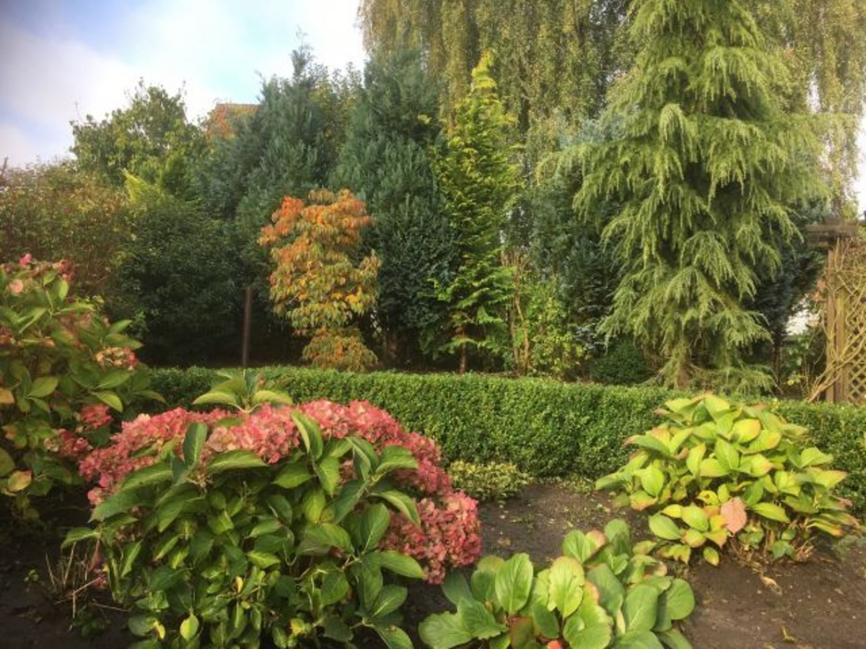 Garten