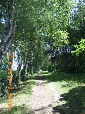 Wege für Spaziergänge