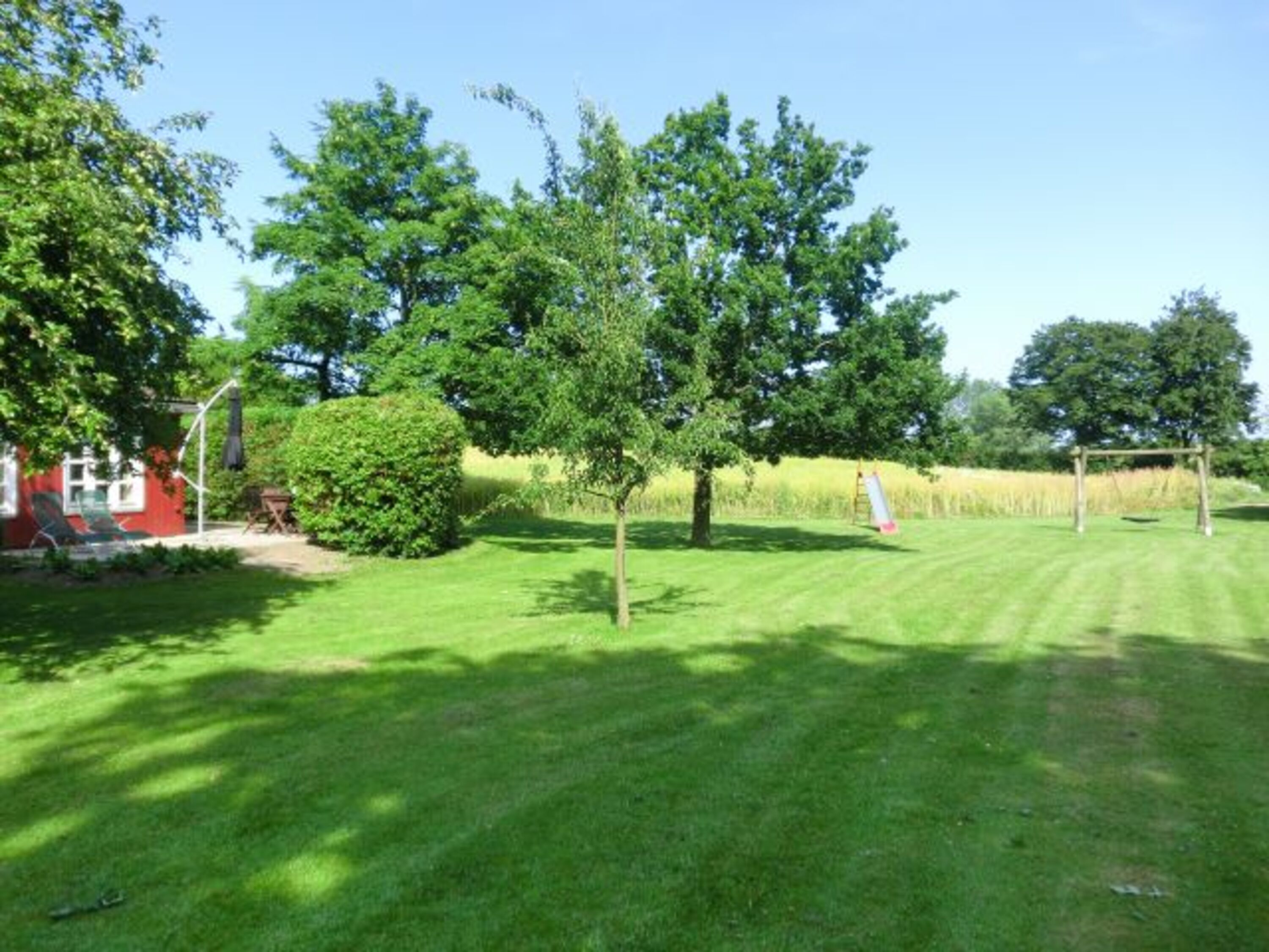 Spielwiese