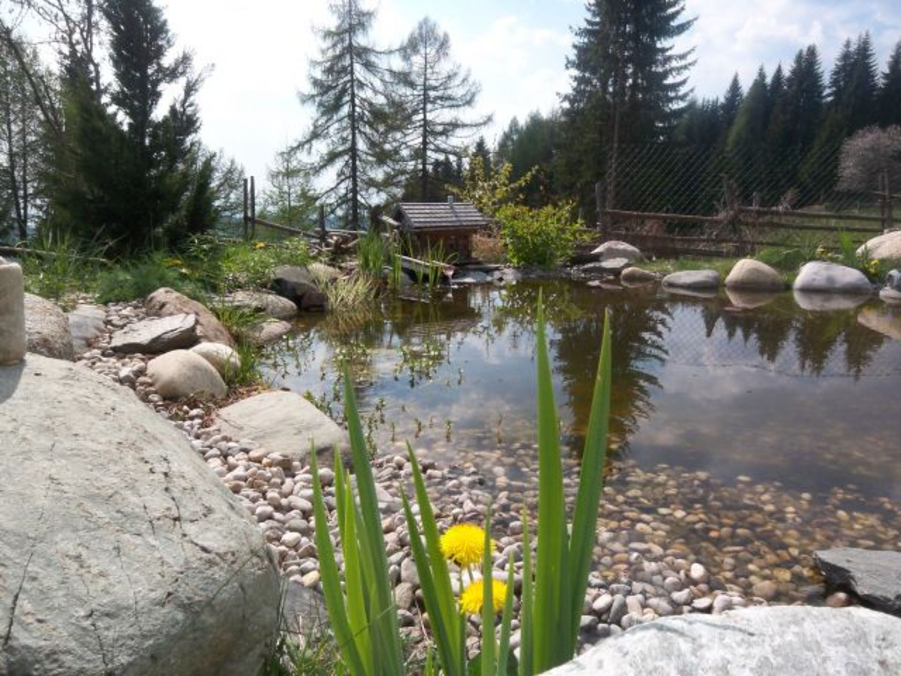 Teich (für Hunde)
