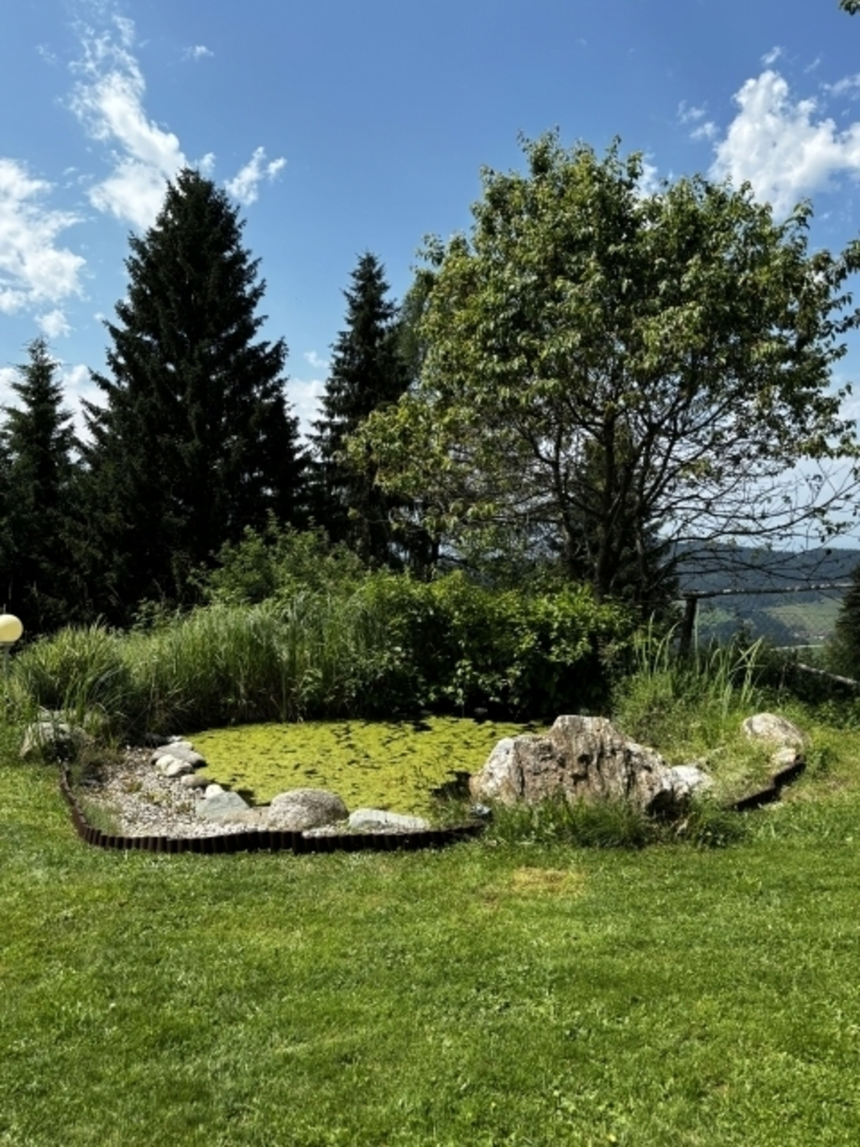 Bild 26