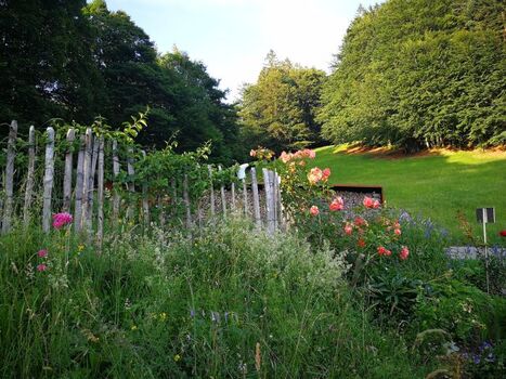 sonnige Waldrandlage