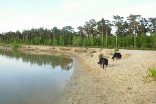 Blick auf den Salzbergener See