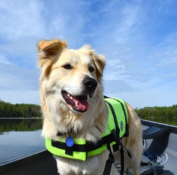 Erkunden Sie die Umgebung auf dem Wasser