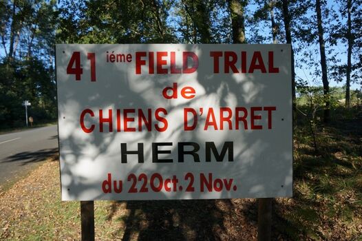 jährlicher Hundewettbewerb