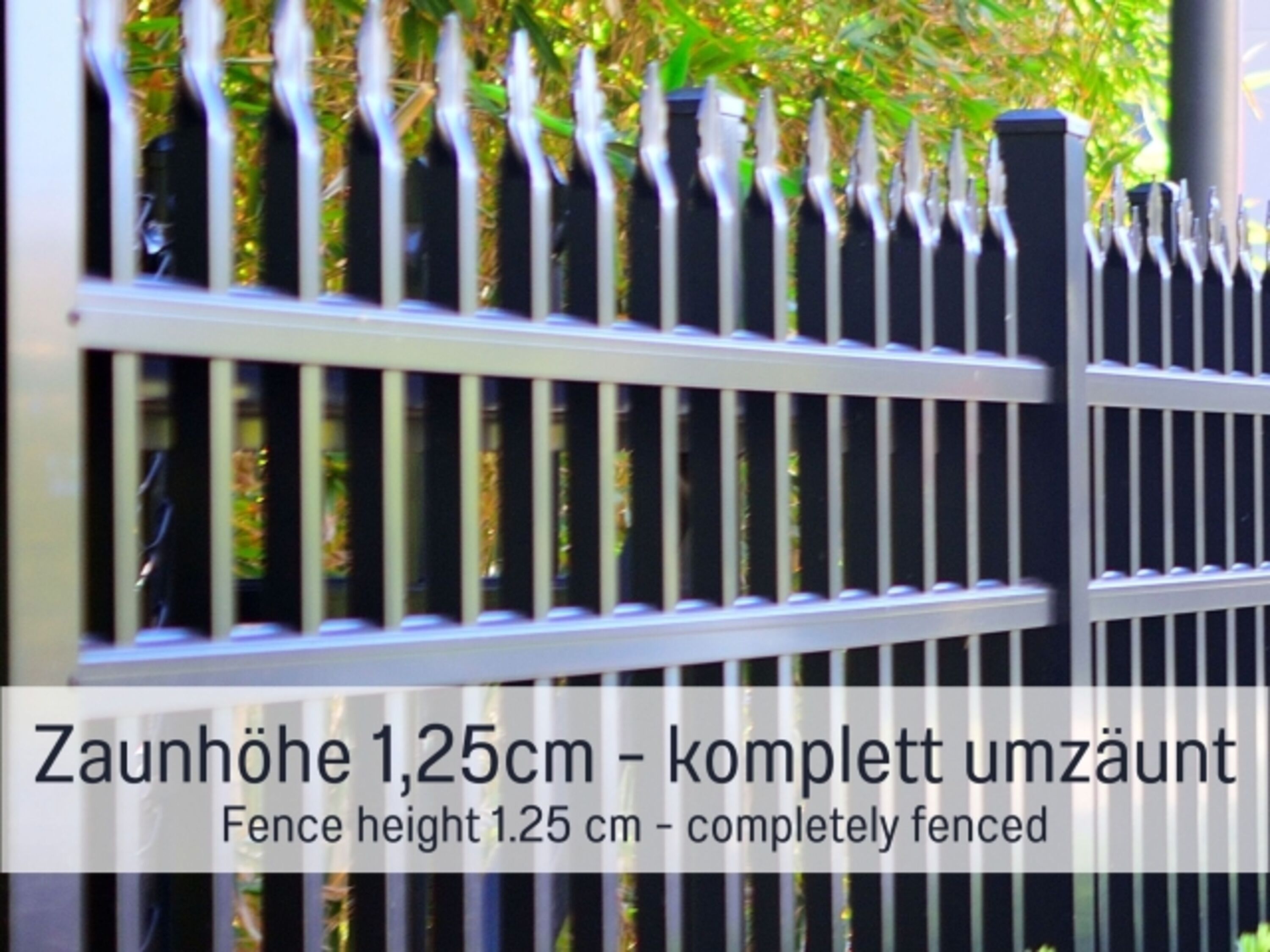Bild 9