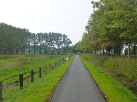 Fahrradweg zur Elbinsel Krautsand