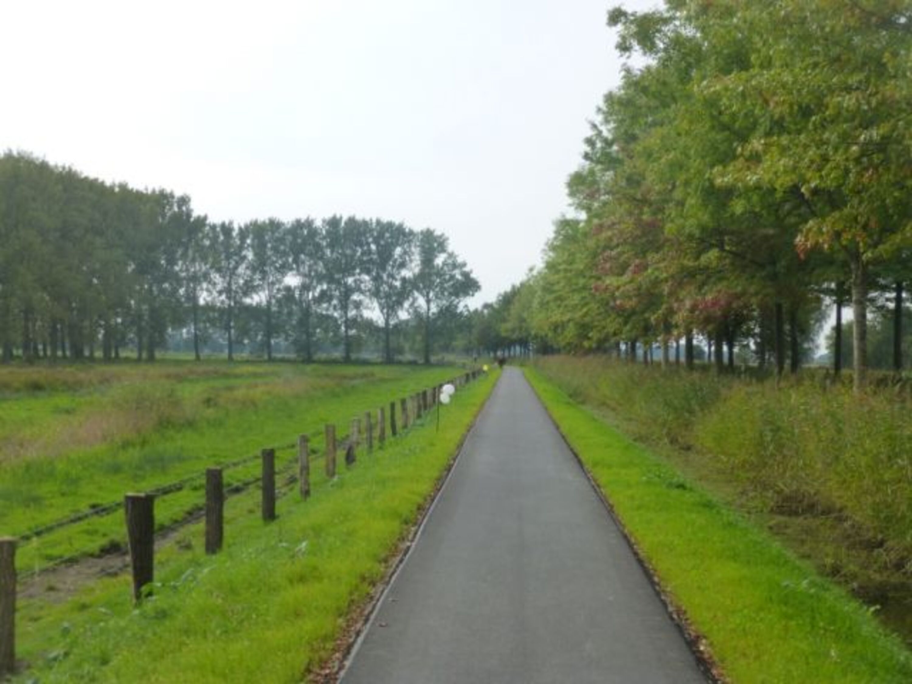 Fahrradweg zur Elbinsel Krautsand