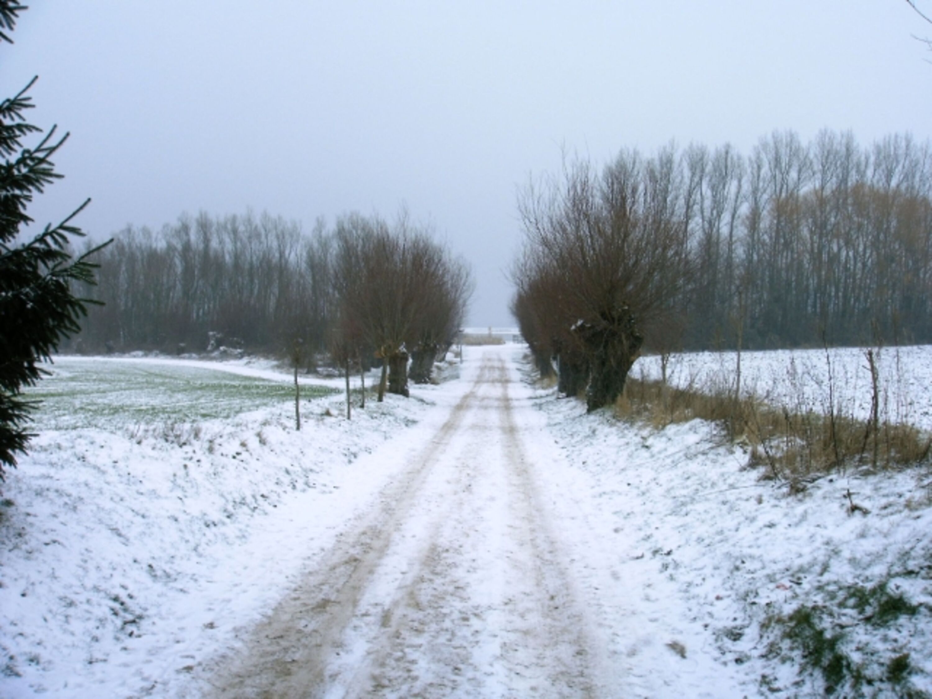 Strandweg im Winter