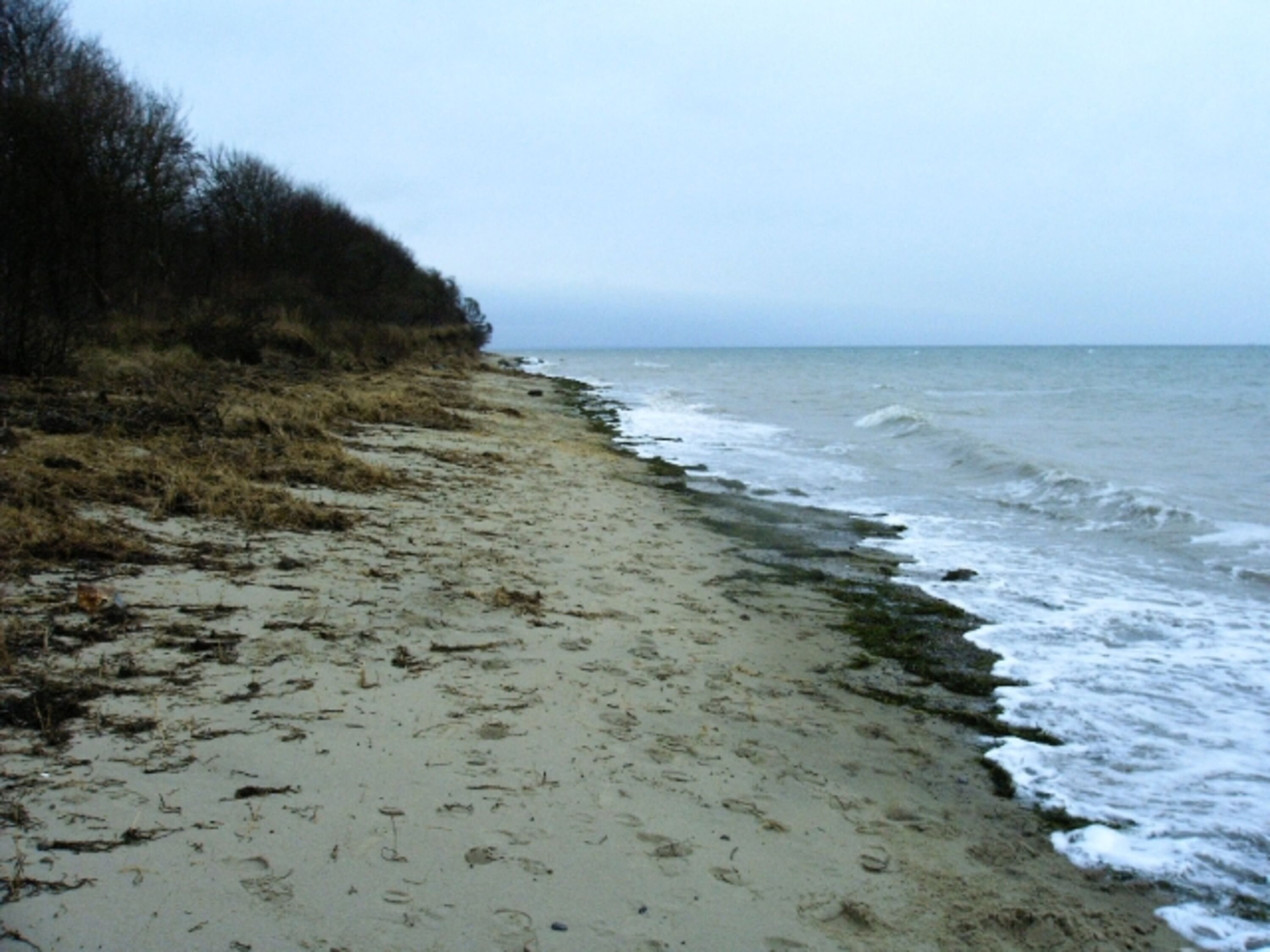 Herbst am Strand