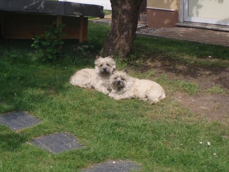 Emmy und Sohn August