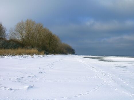 Winterstrand