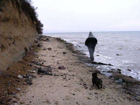 Frühlingsspziergang am Strand