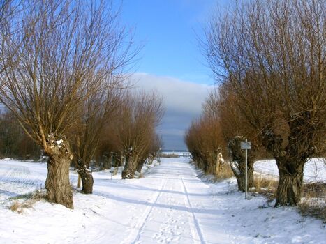 Strandweg im Winter