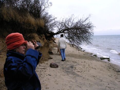 Herbstspaziergang am Strand