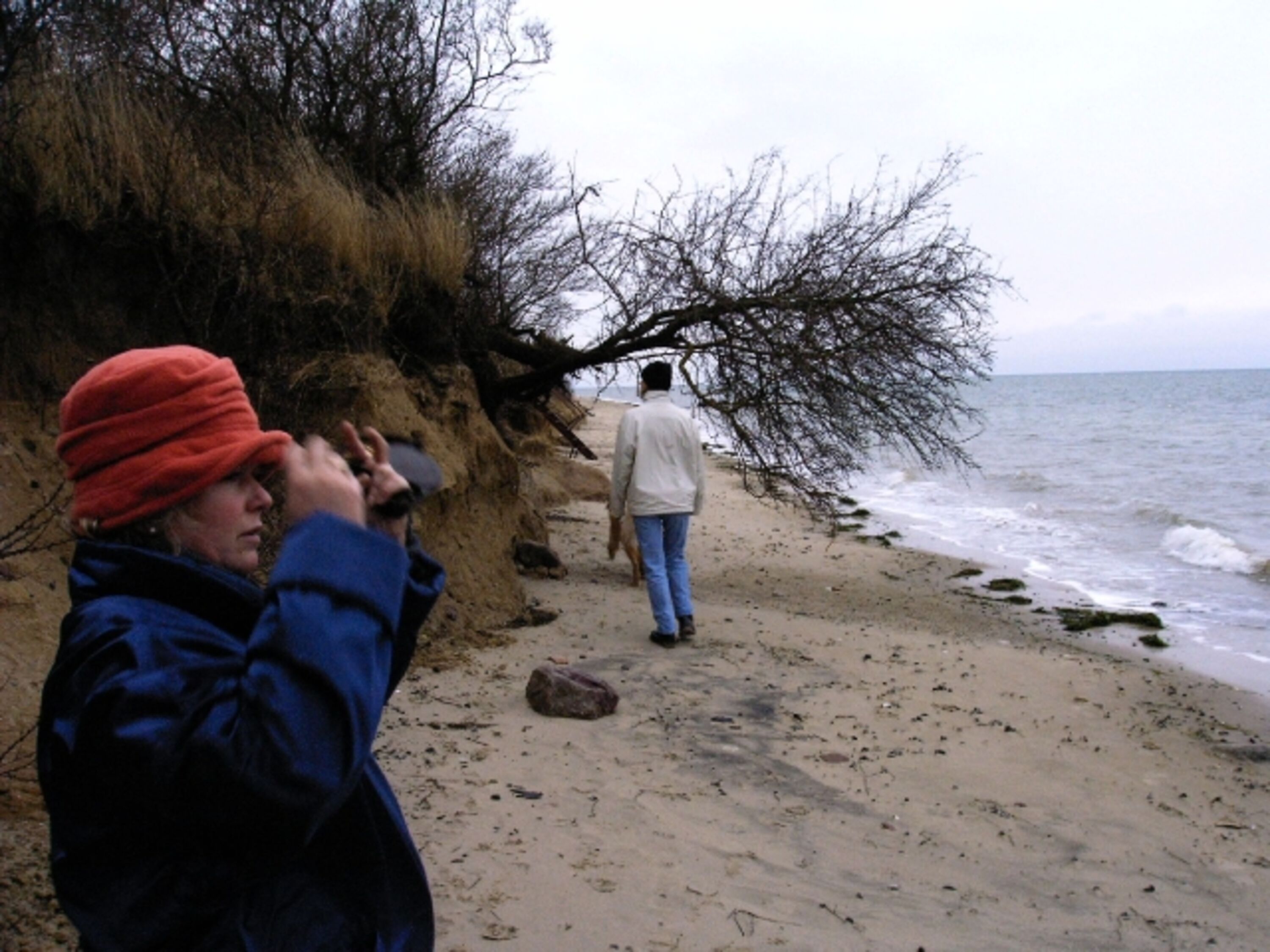 Herbstspaziergang am Strand