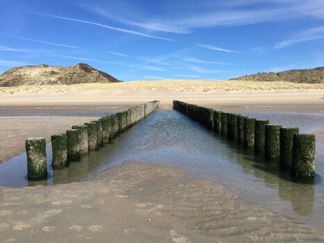 Strand in Burgh Hamstede
