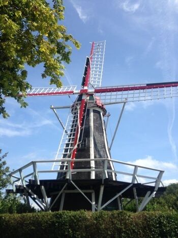 Windmühle in Brouwershaven