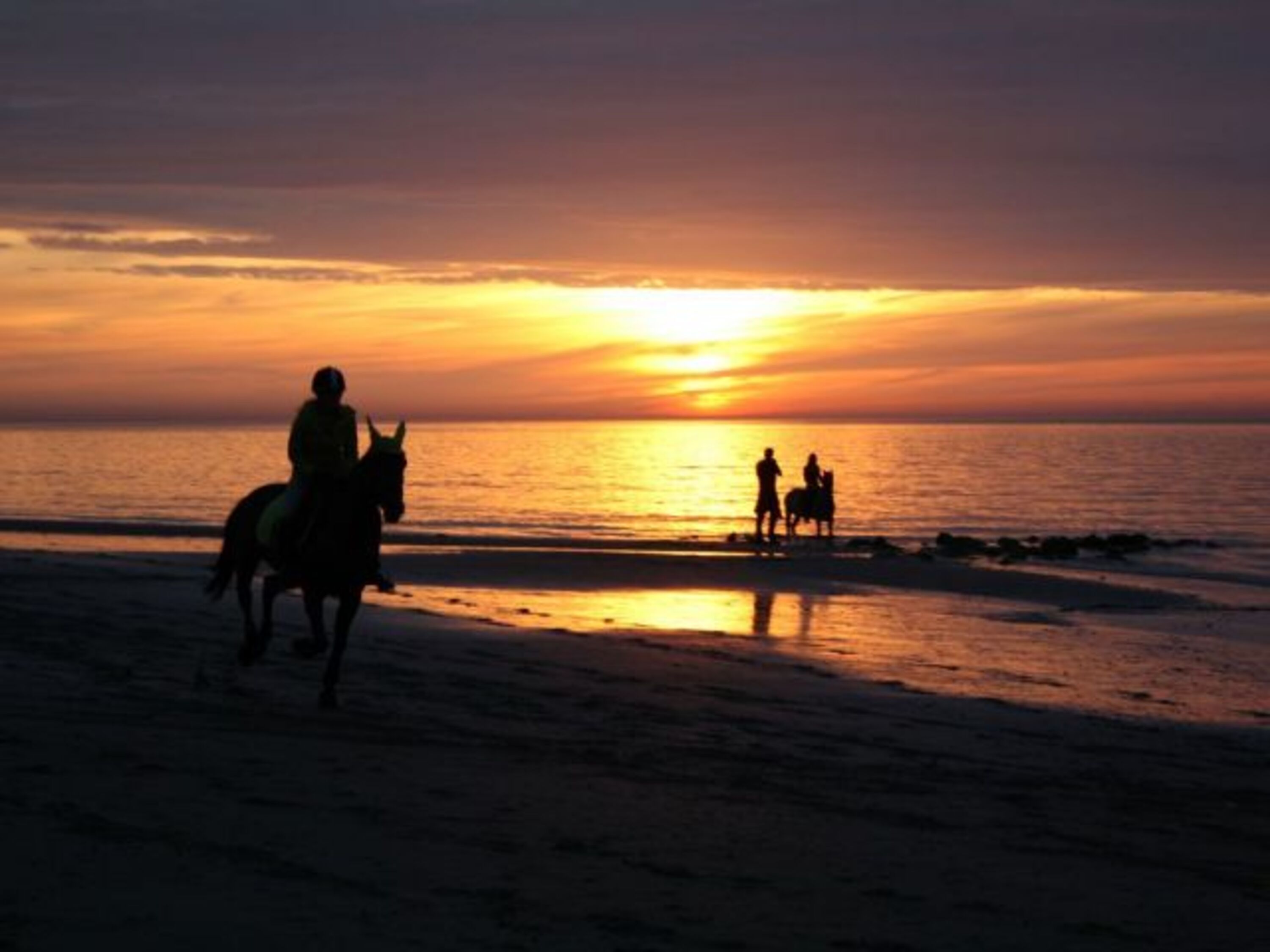 Ausritt beim Sonnenuntergang 