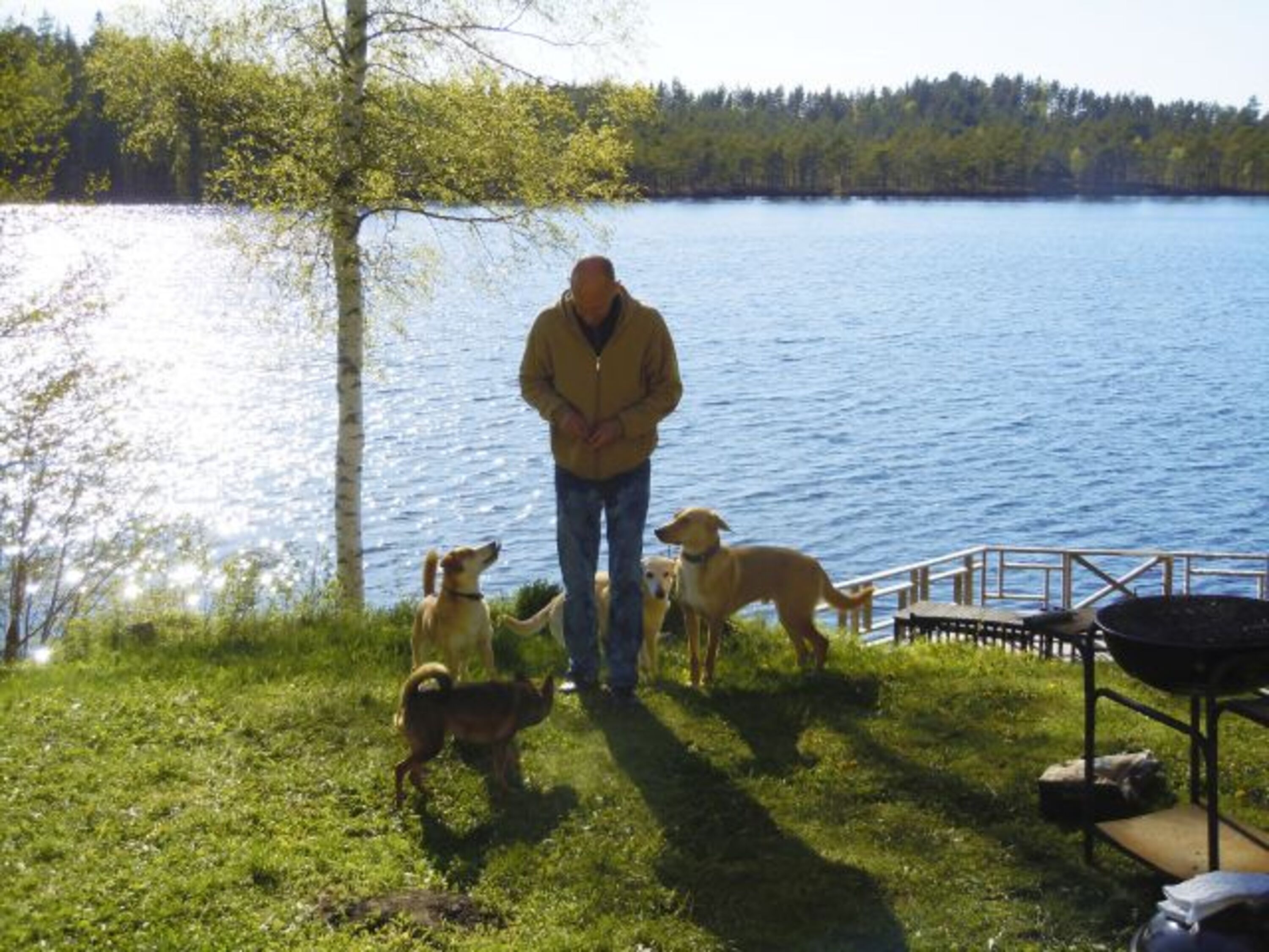 Bild 20