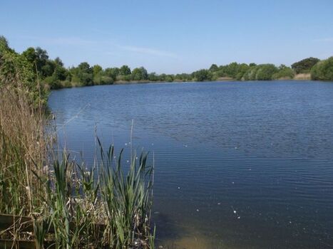 Idyllischer Angelsee direkt am Hof