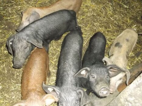 Sind wir nicht süß?