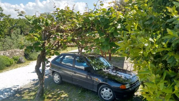 Parken auf dem Grundstück