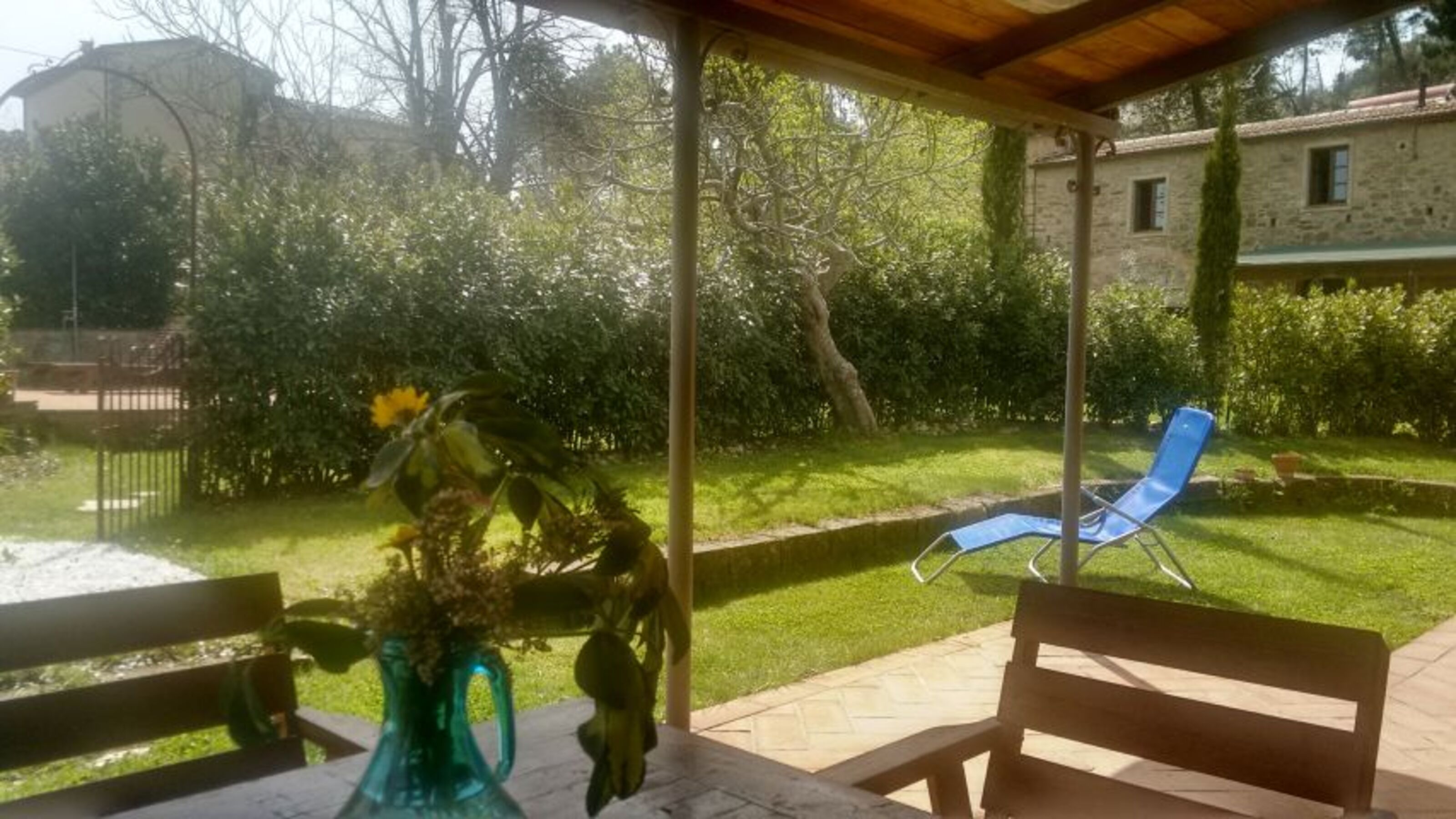 Blick in den Garten