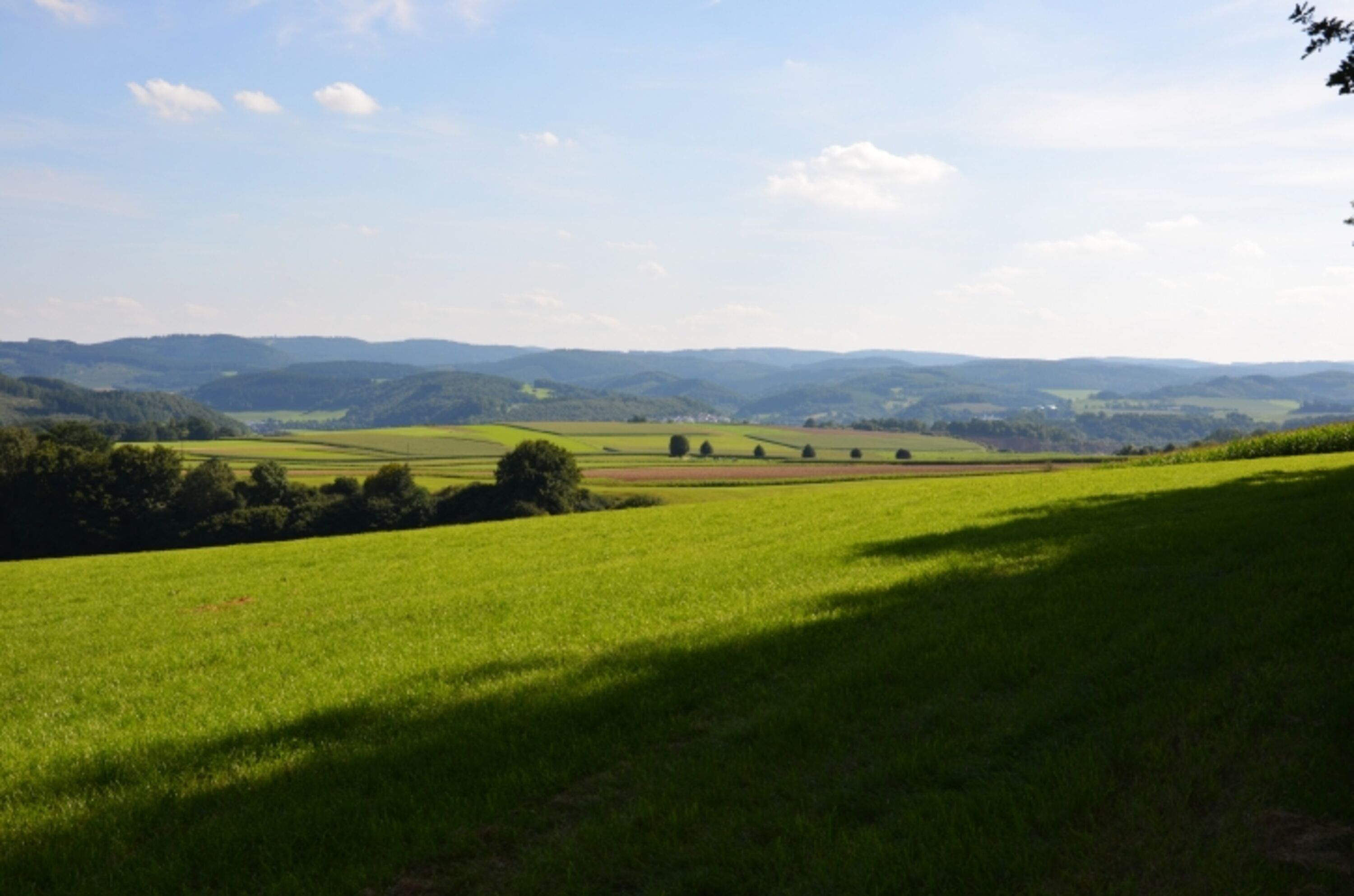 Natur Pur im Melbecketal.