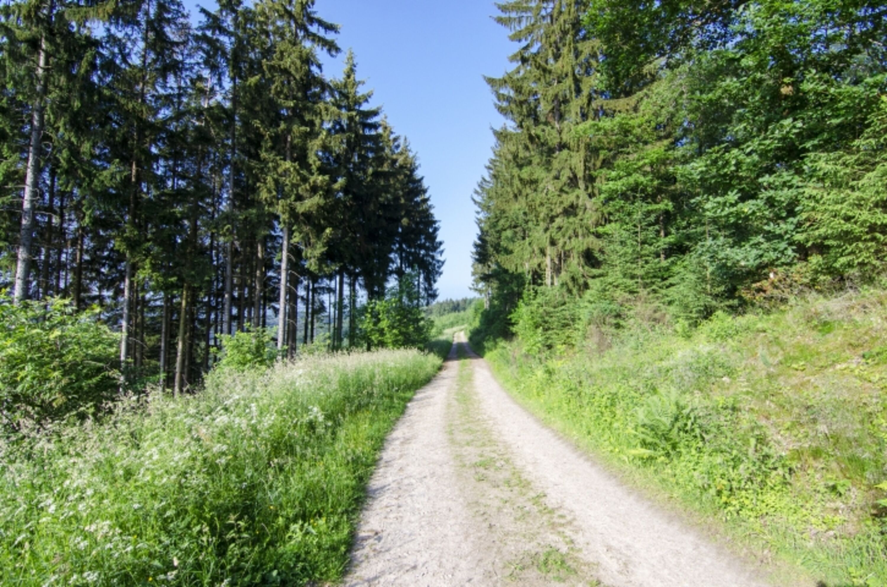 Natur Pur im Melbecketal.