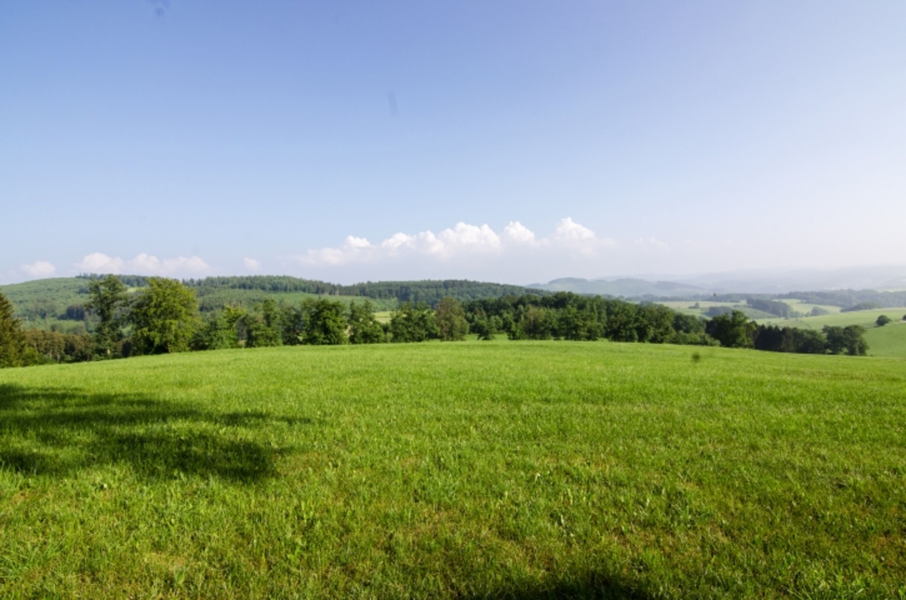 Natur Pur im Melbecketal.