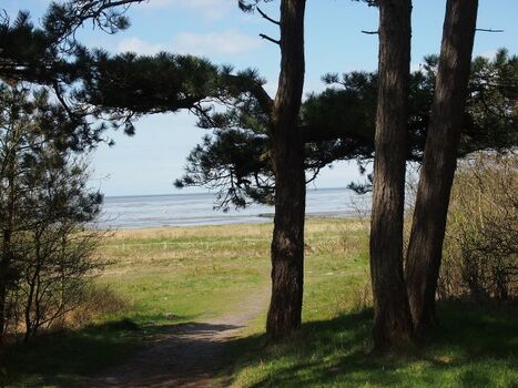 Blick vom Wernerwald aufs Meer