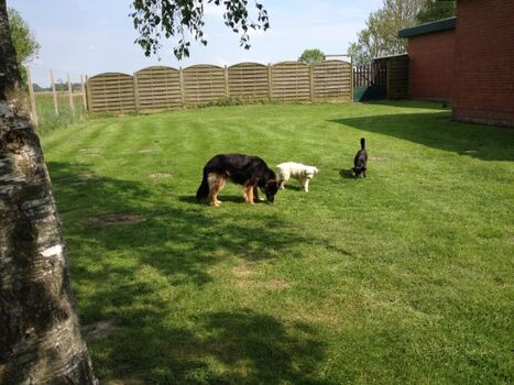 der Garten der Bungalowhälfte zur Alleinnutzung
