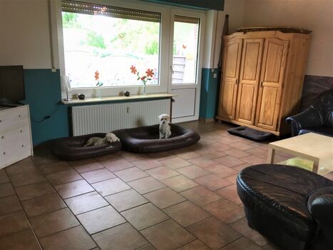 Hundebetten im Wohnzimmer