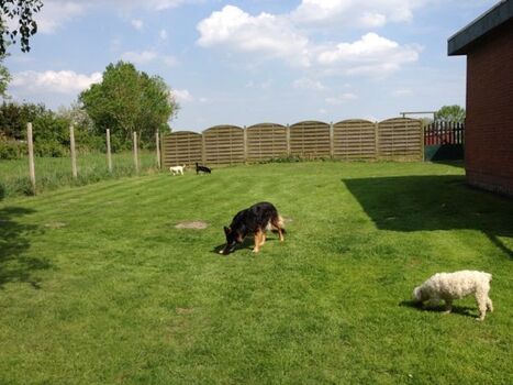 Der große Garten der Bungalowhälfte