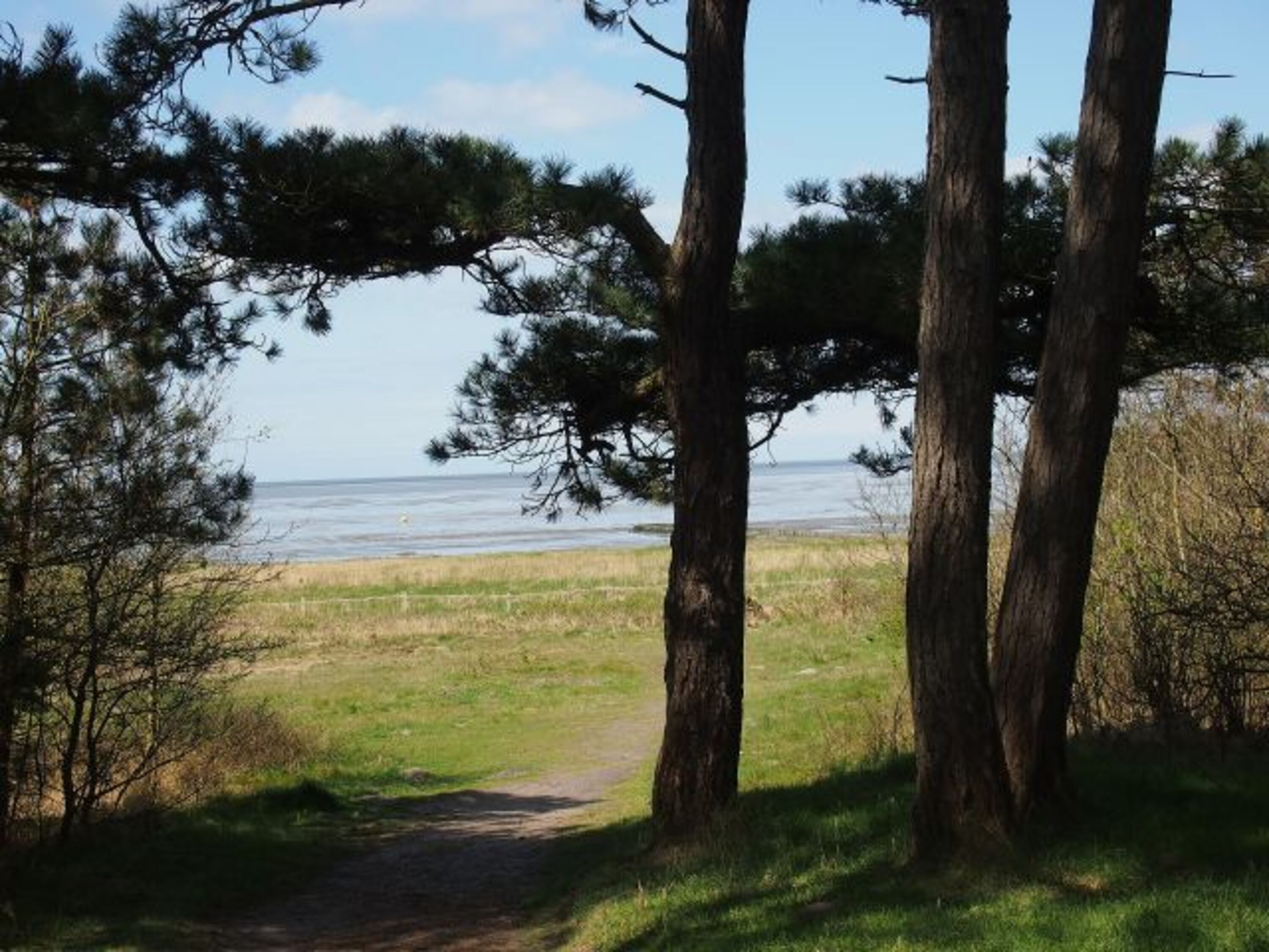 Blick vom Wernerwald aufs Meer