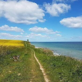 April/Mai zur schönen Rapsblüte, eine wunderbare ruhige Zeit an den Stränden.