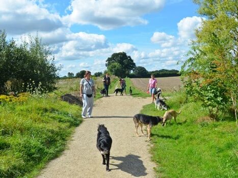 Angrenzende Wanderwege in ruhiger ländlicher Lage