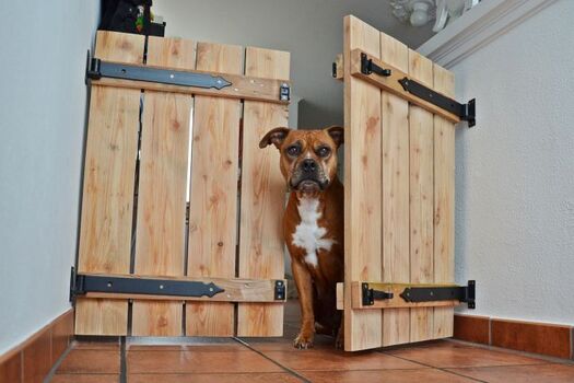 Praktische Holztür im Eingangsbereich/Flur