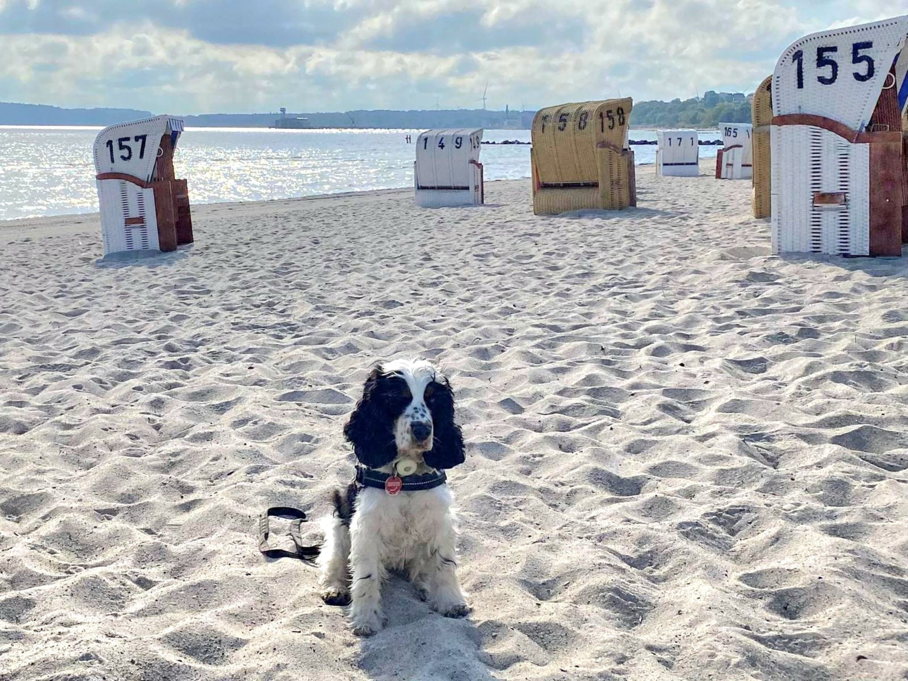 Strandkorbverleih am Hundestrand mit wenig Strandkörben, besonders schön abends zum Sonnenuntergang.