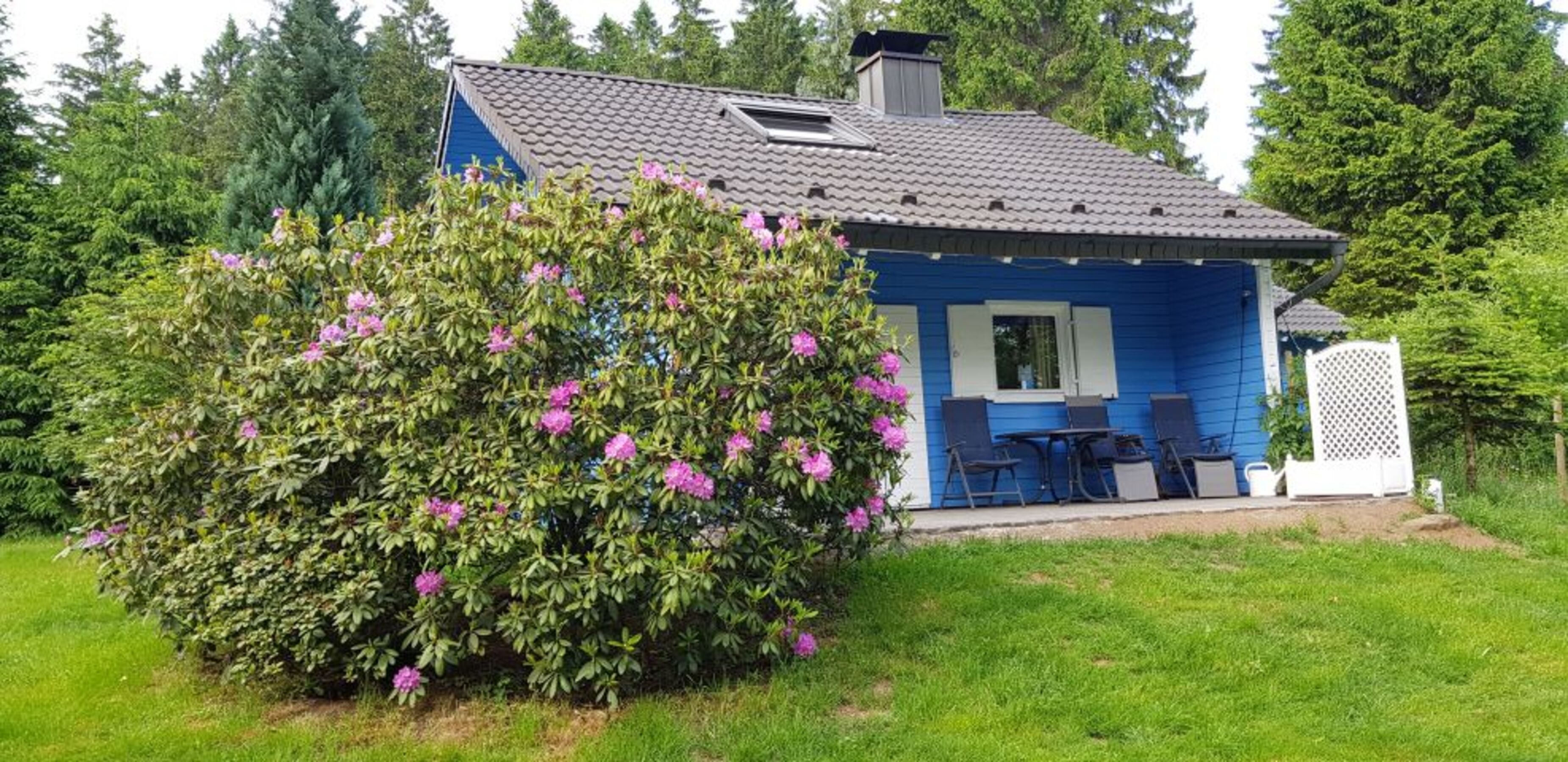 Bild 2