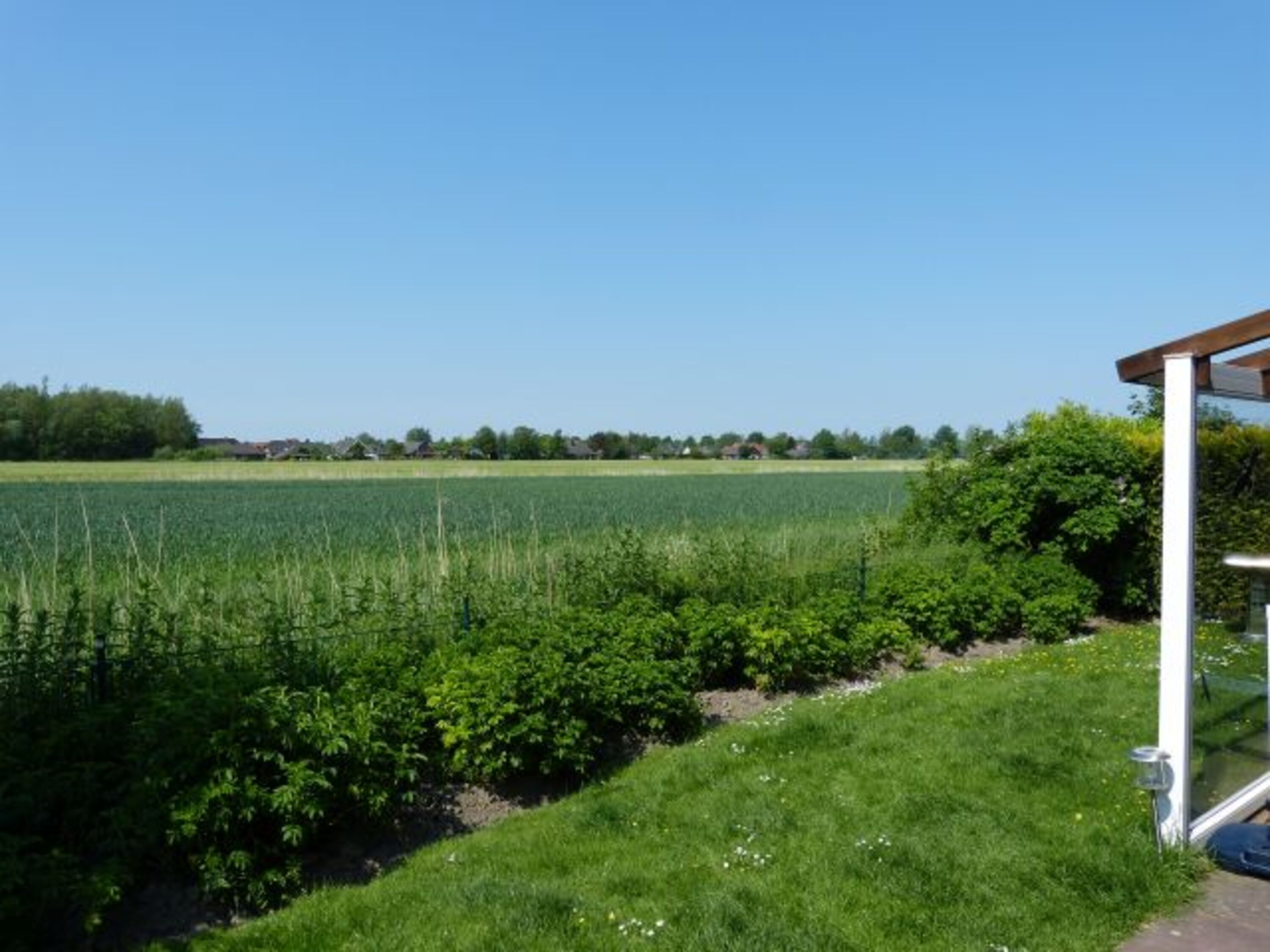 Weitblick im Garten