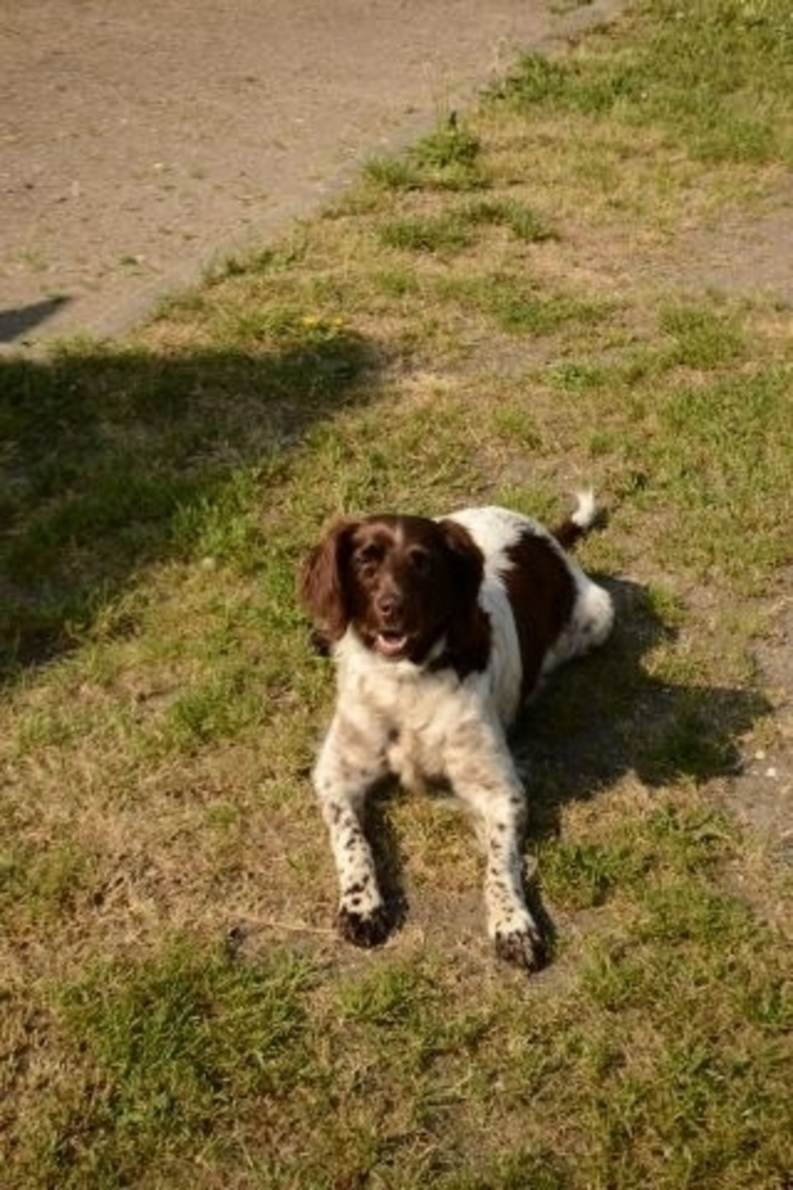 Bild 27